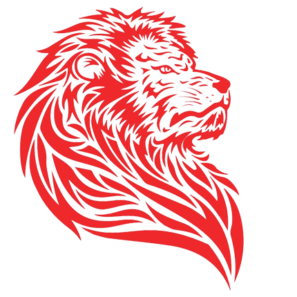 描述
